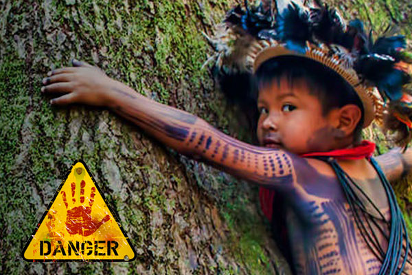 photo-petition-enfant-surui-arbre-deforestation-amazonie-foret